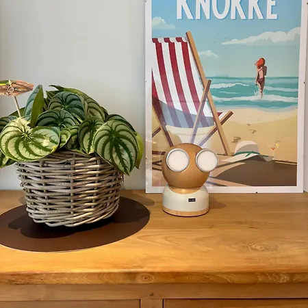 Apartmán Verhuur Gelijkvloers Sol Y Mar Knokke-Heist