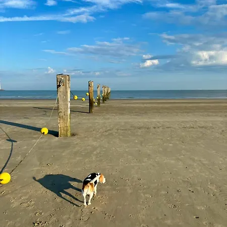 Apartmán Verhuur Gelijkvloers Sol Y Mar Knokke-Heist