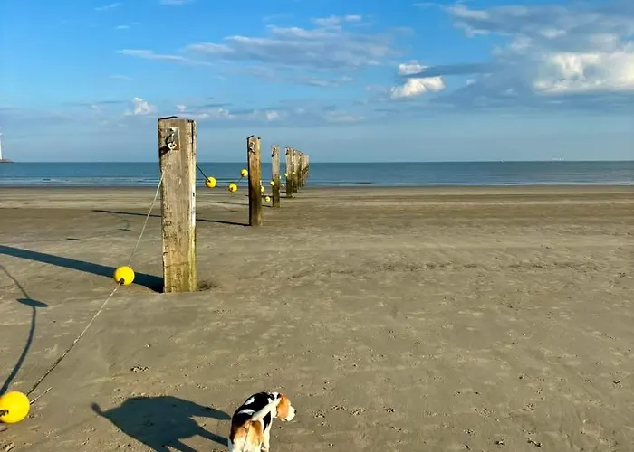 Apartamento Verhuur Gelijkvloers Sol Y Mar Knokke-Heist